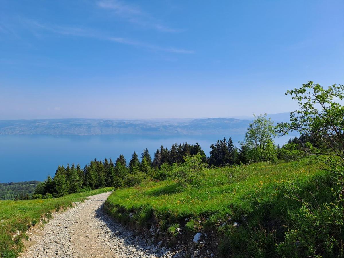 Duplex-Chalet Entre Lac Et Montagne Avec Balcon Лугрин Экстерьер фото