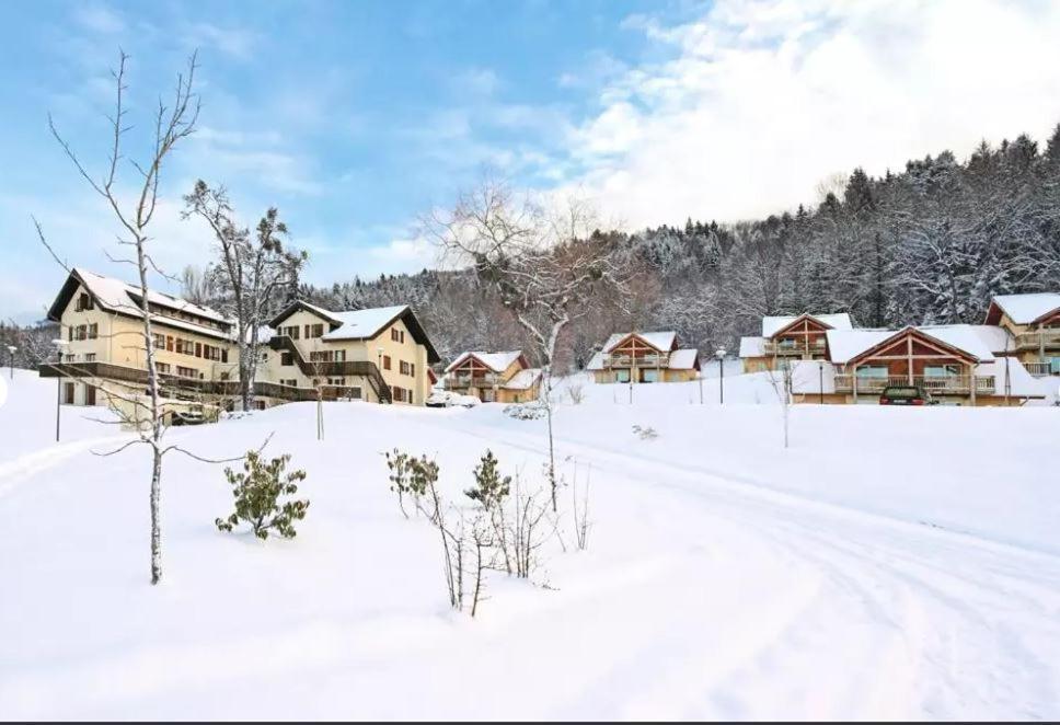Duplex-Chalet Entre Lac Et Montagne Avec Balcon Лугрин Экстерьер фото